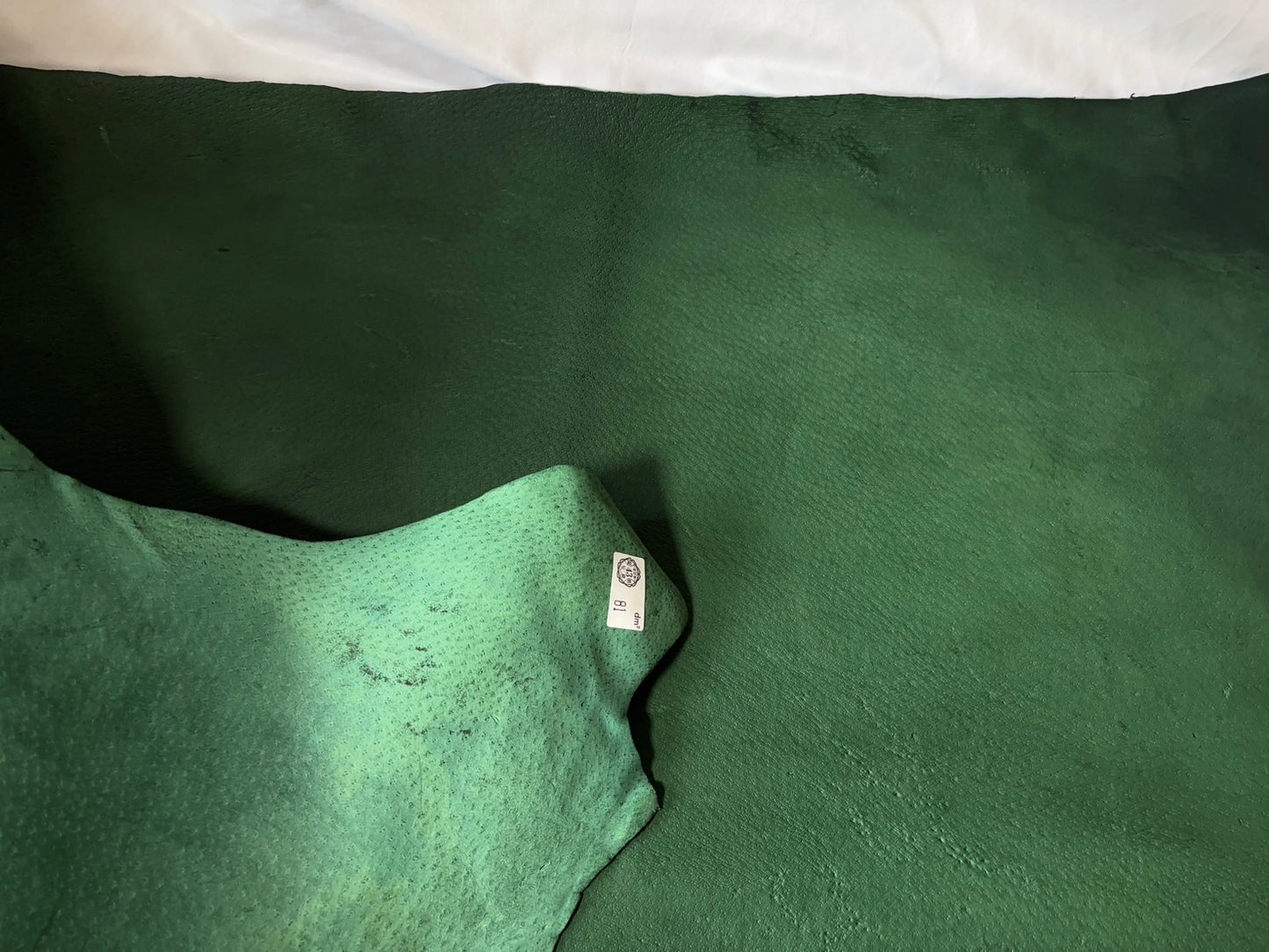 猪革(ヌメ)グリーンカラー Bランク81ds 1.6mm銀面あり 税込み価格