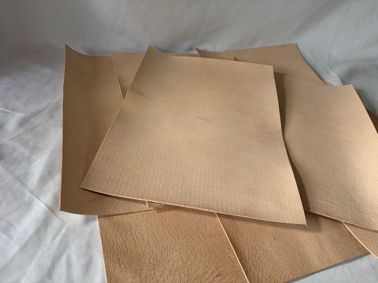 カットレザー1枚 猪生成り Aランク A3サイズ