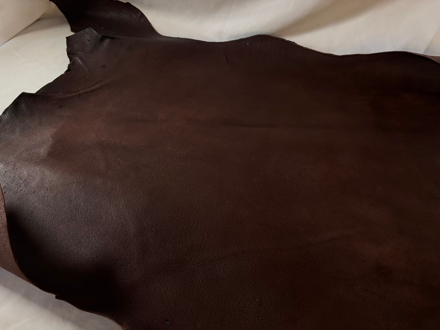 熊革(ツキノワグマ)ブラウンカラー 1.7㎜ 68ds Aランク 小穴