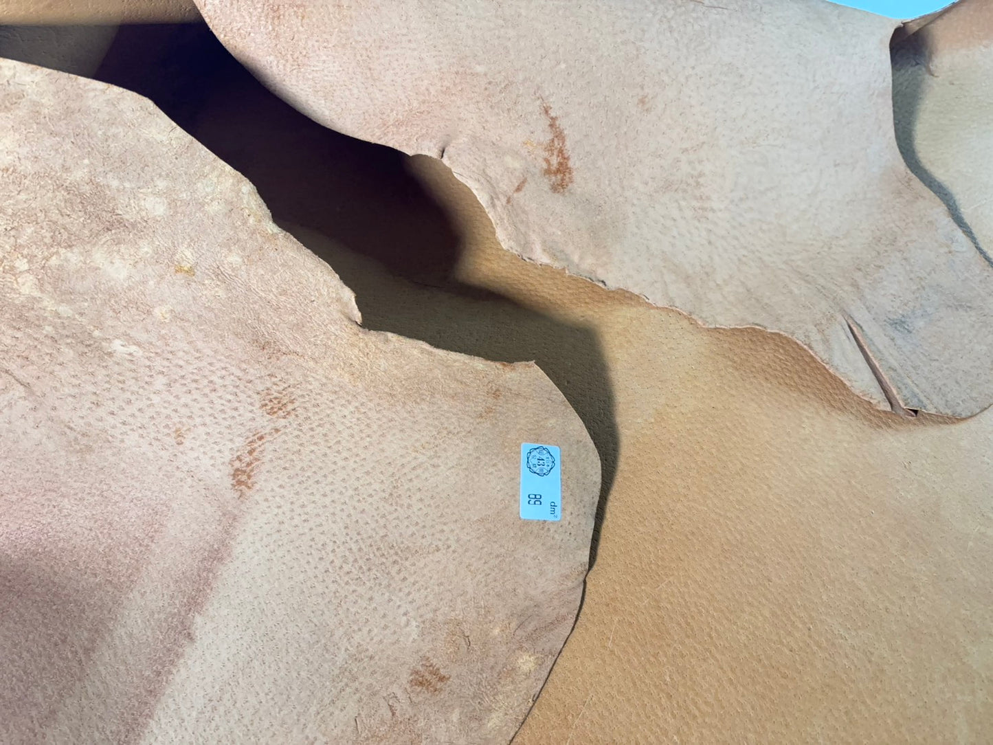 猪革(ヌメ) クラシックキャメルカラー Aランク89ds 1.5mm銀面あり 税込み価格 柔らかめ