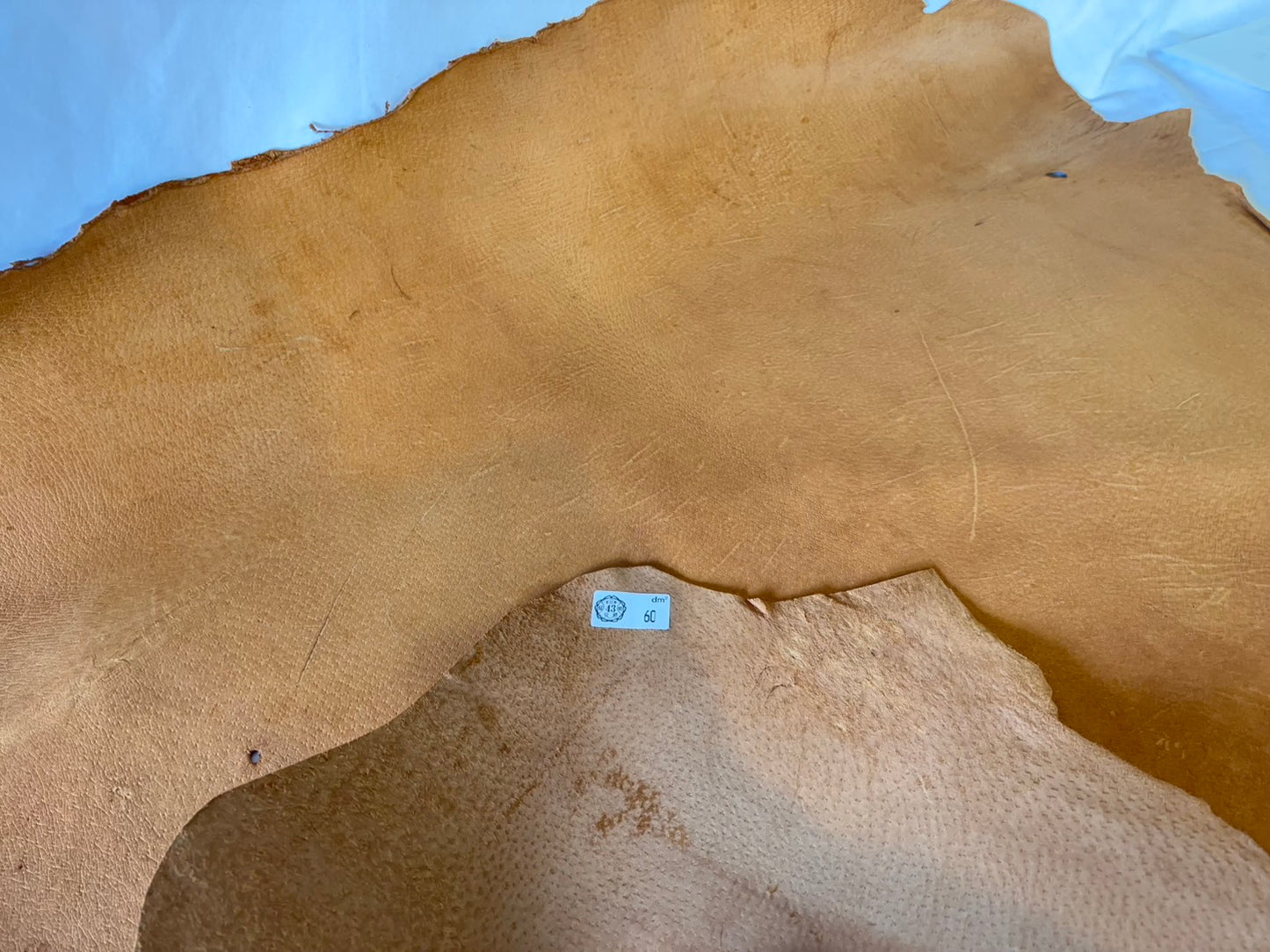 猪革(ヌメ) クラシックキャメルカラー Aランク60ds 1.5mm銀面あり 税込み価格 歴戦猛者 傷多め