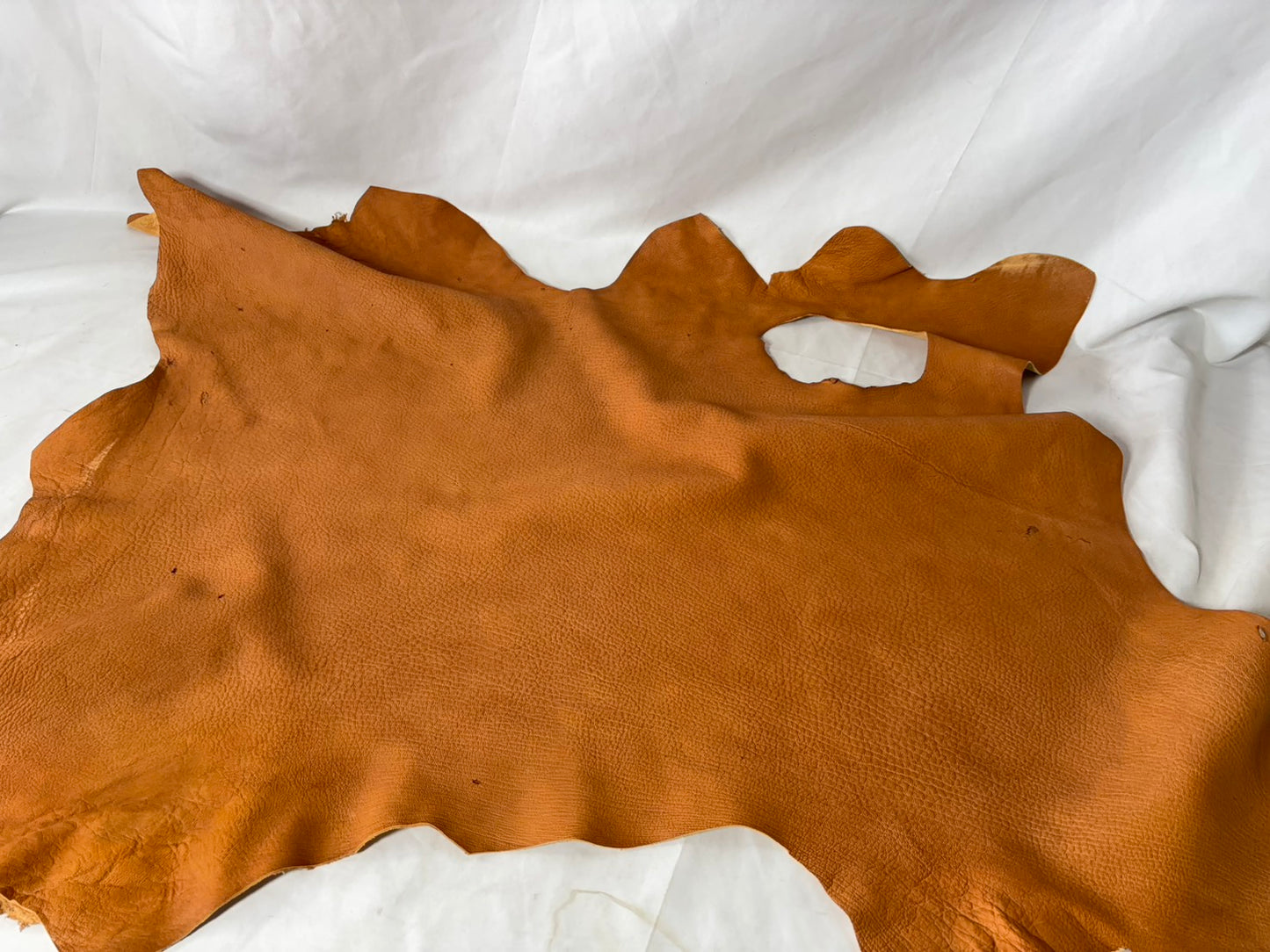 シカ革(ヌメ)ソフトタイプ キャメルカラー レザーAランク57ds 1.3mm 銀面あり