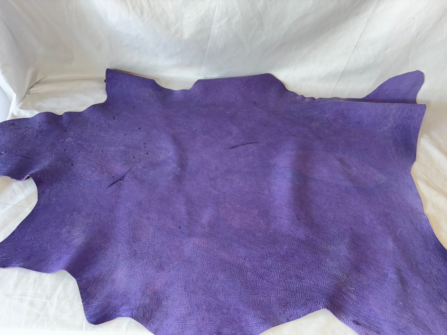 シカ革(ヌメ)ソフトタイプ パープルカラーAランク70ds 2mm 銀面あり