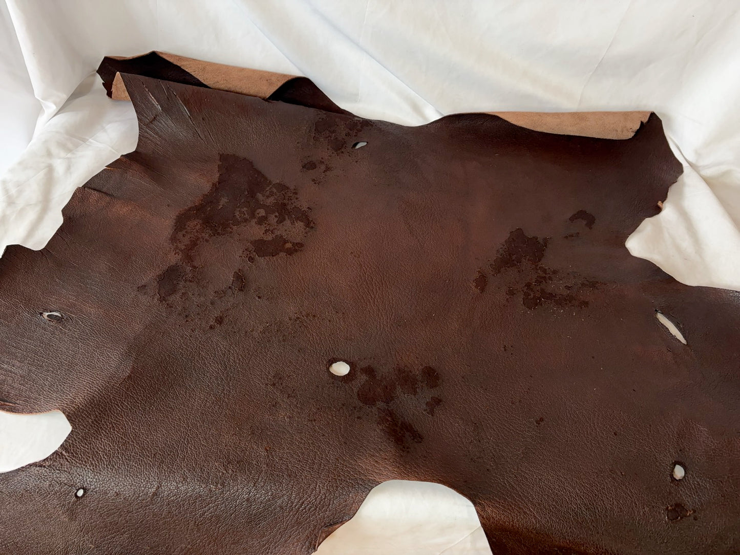 Cランクまとめ売り 多め