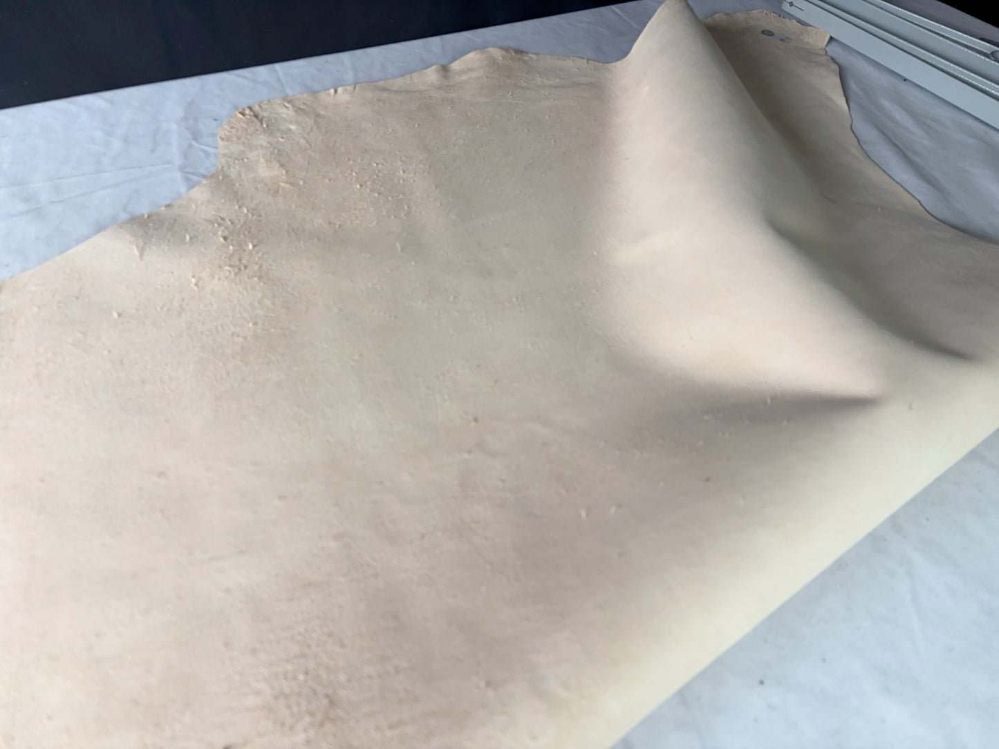 1ds99円 シカ革(ヌメ)白妙(しろたえ)生成りカラー 平均45ds 1㎜~1.2mm 銀面あり