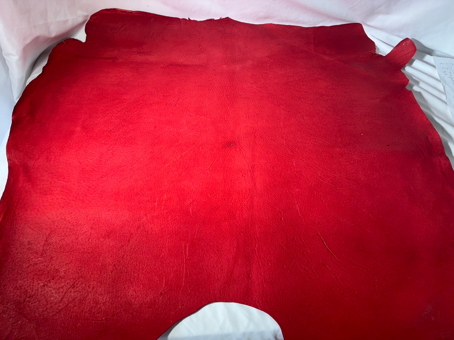 歴戦の猛者　猪革(ヌメ)レッドカラー　Aランク89ds　1.7ｍｍ銀面あり　税込み価格　