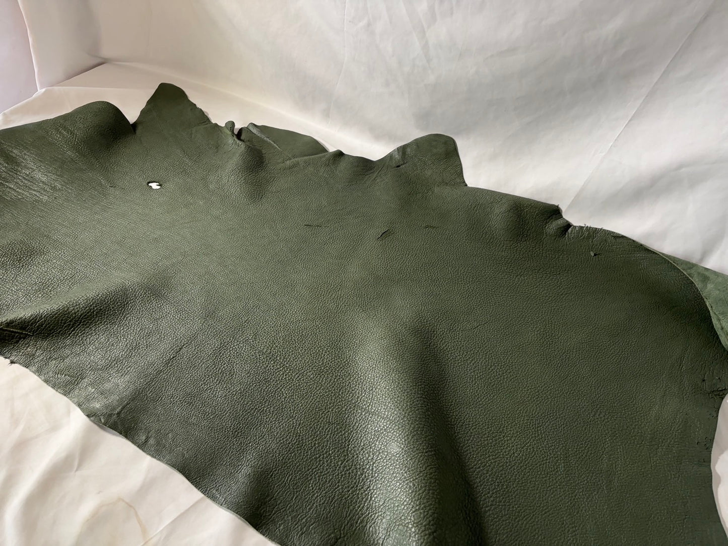 シカ革(ヌメ)ソフトタイプ　げんぶカラー　レザーAランク75ds　1.6ｍｍ　銀面あり