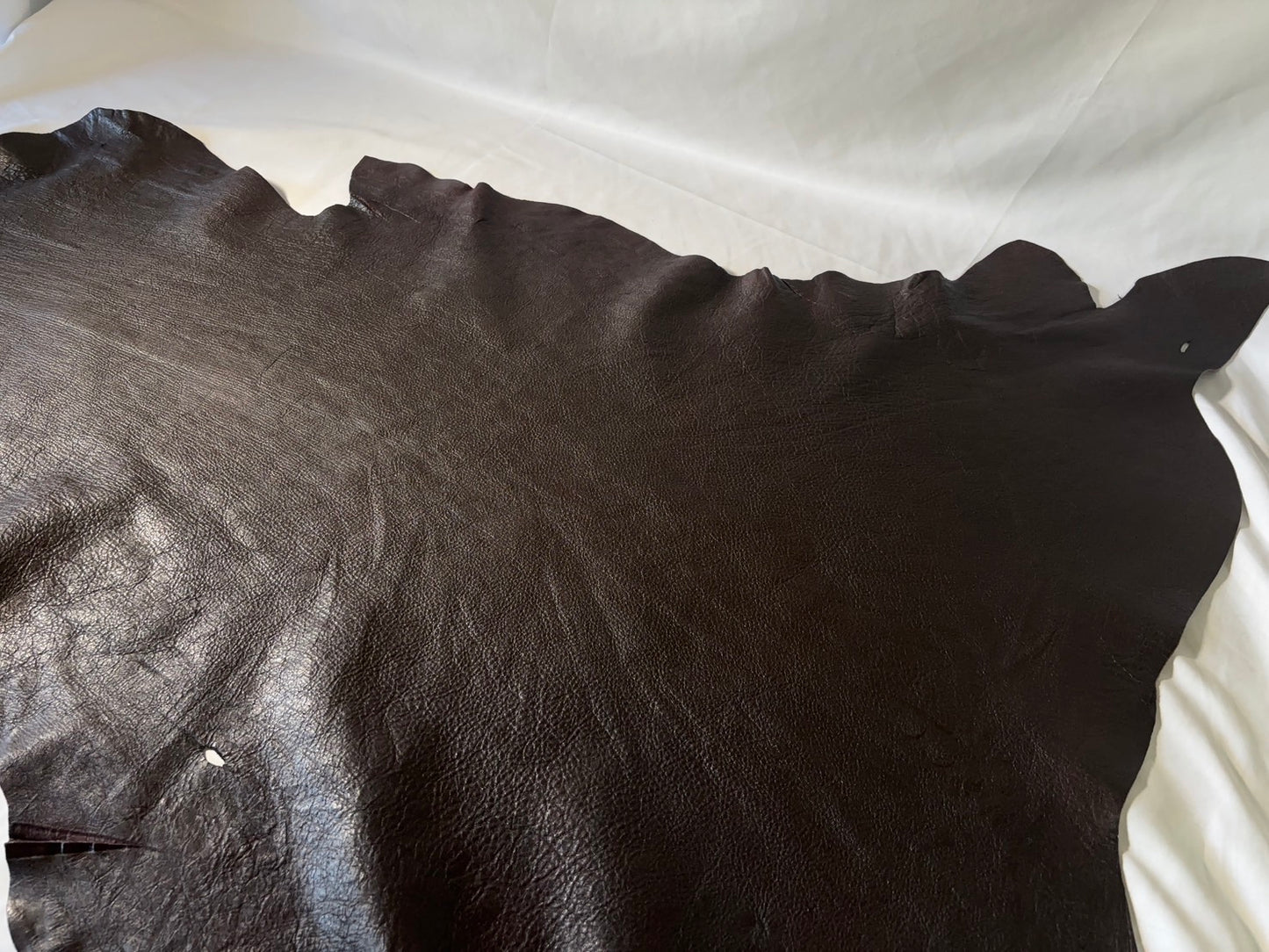 シカ革(ヌメ)ソフトタイプ　こげ茶カラー　レザーAAランク50ds　1.3ｍｍ　銀面あり