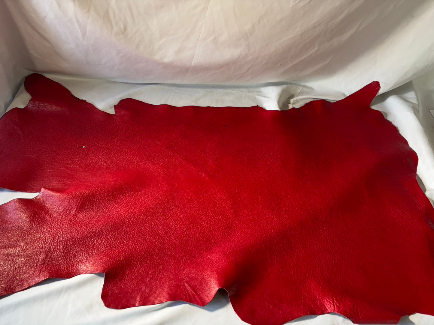 シカ革(ヌメ)ソフトタイプ　レッドカラー　レザーAランク66ds　1.5ｍｍ　銀面あり　傷あり