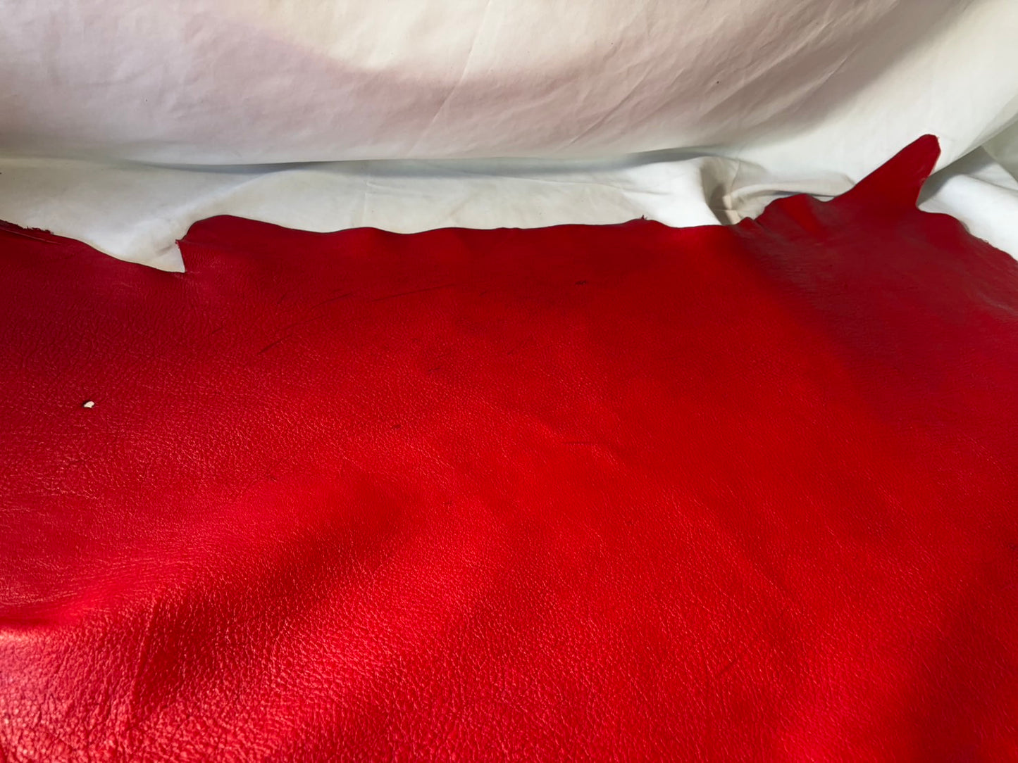 シカ革(ヌメ)ソフトタイプ　レッドカラー　レザーAランク66ds　1.5ｍｍ　銀面あり　傷あり