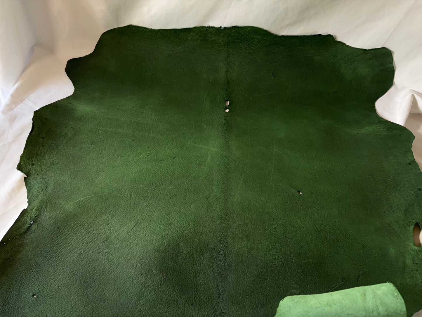 猪革(ヌメ)グリーンカラー　Bランク67ds　1.6ｍｍ銀面あり　税込み価格　穴あり