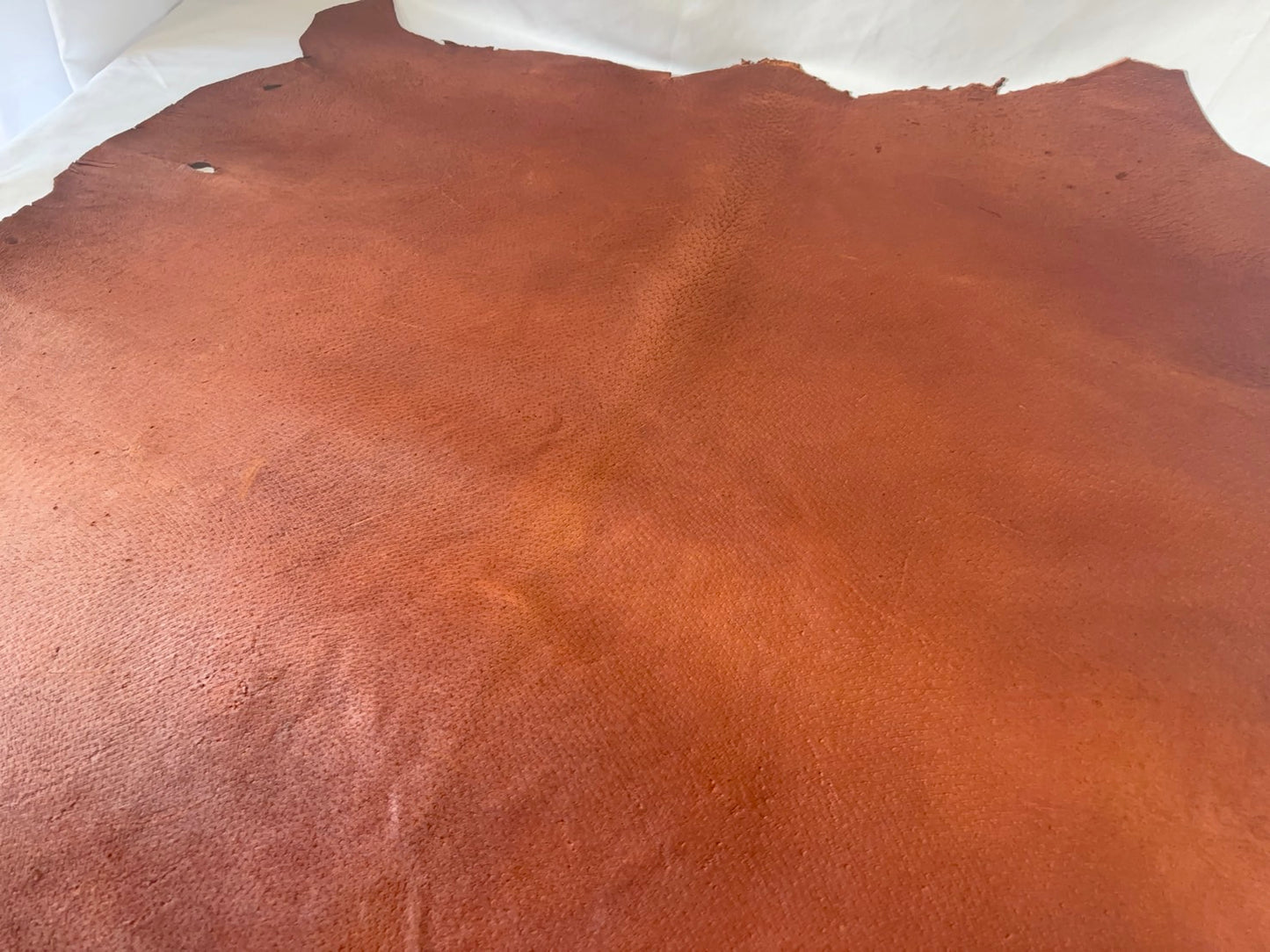 猪革(ヌメ)　　レッドキャメルカラー　Aランク73ds　1.5ｍｍ銀面あり　税込み価格　