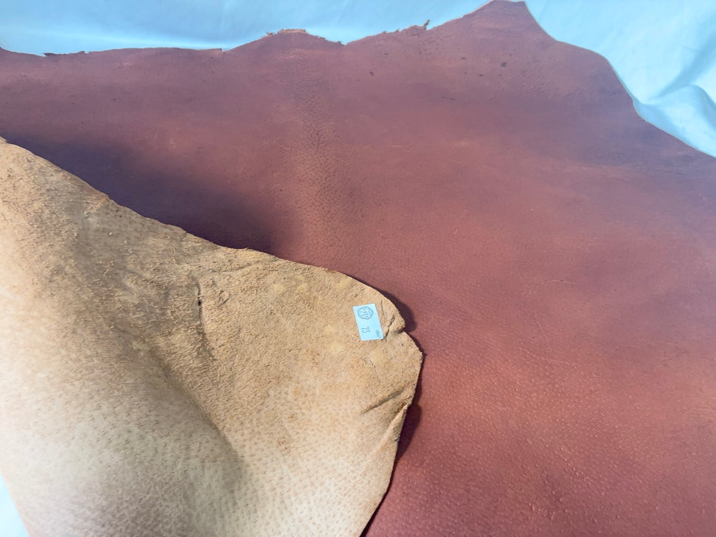 猪革(ヌメ)　　レッドキャメルカラー　Aランク73ds　1.5ｍｍ銀面あり　税込み価格　