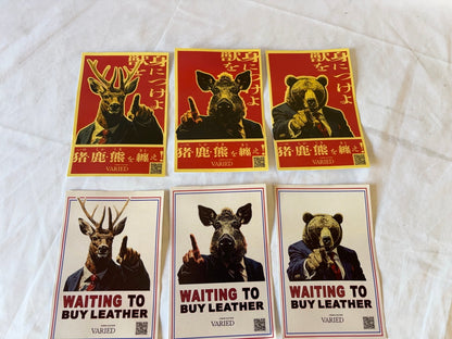 VARIED　ポストカード　６枚セット　