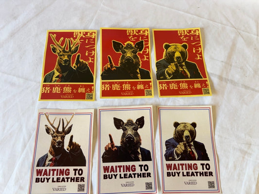 VARIED　ポストカード　６枚セット　