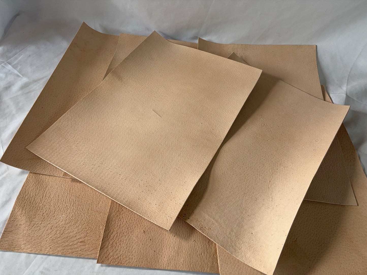 カットレザー１枚　猪生成り　Aランク　A3サイズ