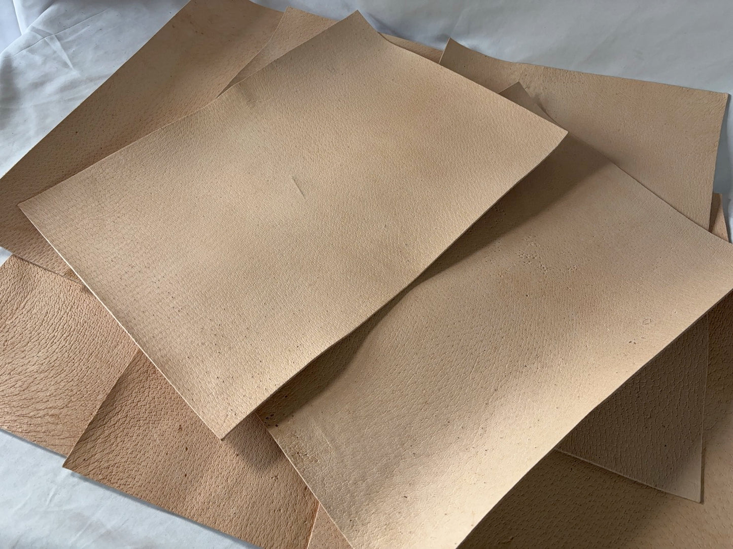 カットレザー１枚　猪生成り　Aランク　A3サイズ