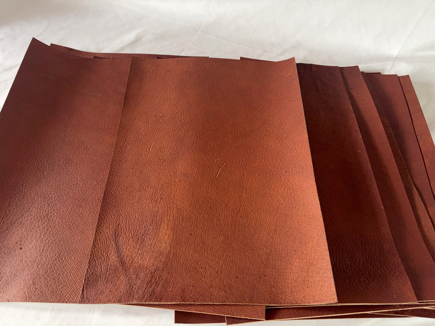 カットレザー１枚　猪レッドキャメル　Aランク　A3サイズ