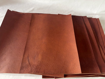 カットレザー１枚　猪レッドキャメル　Aランク　A3サイズ