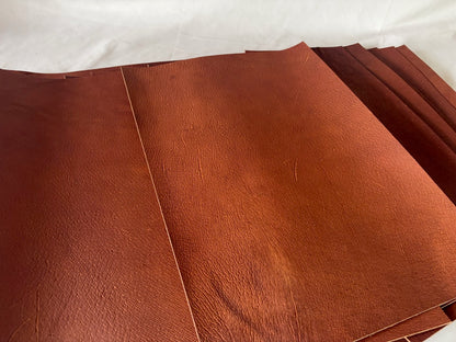 カットレザー１枚　猪レッドキャメル　Aランク　A3サイズ