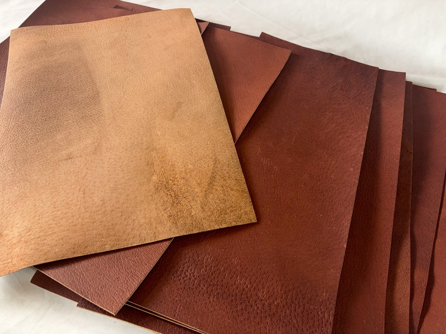カットレザー１枚　猪レッドキャメル　Aランク　A3サイズ