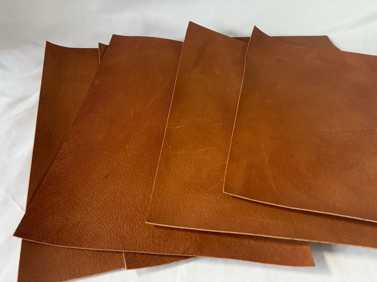 カットレザー１枚　猪キャメル　Aランク　A3サイズ