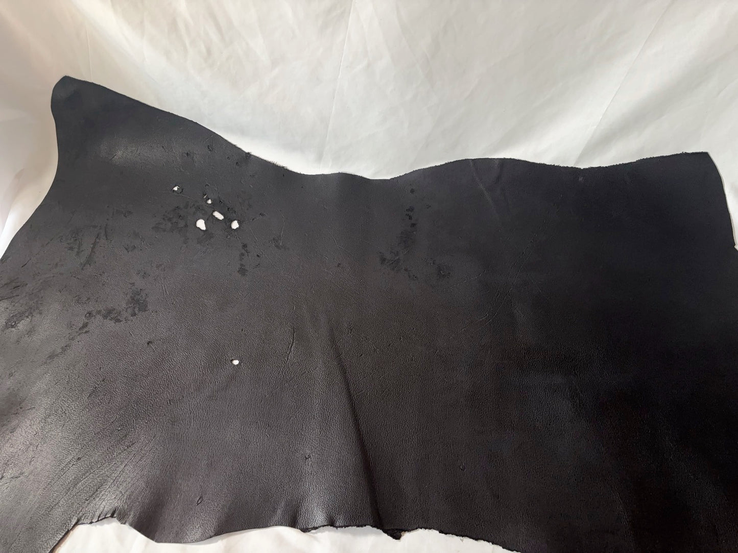 熊革(ヒグマ)ブラックカラー　1.6㎜　71ds　Aランク　半裁 　傷あり