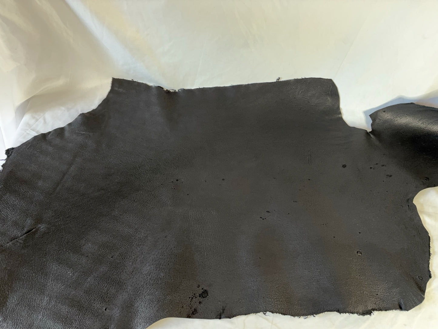 熊革(ヒグマ)ブラックカラー　1.7㎜　86ds　Aランク　半裁 　傷あり