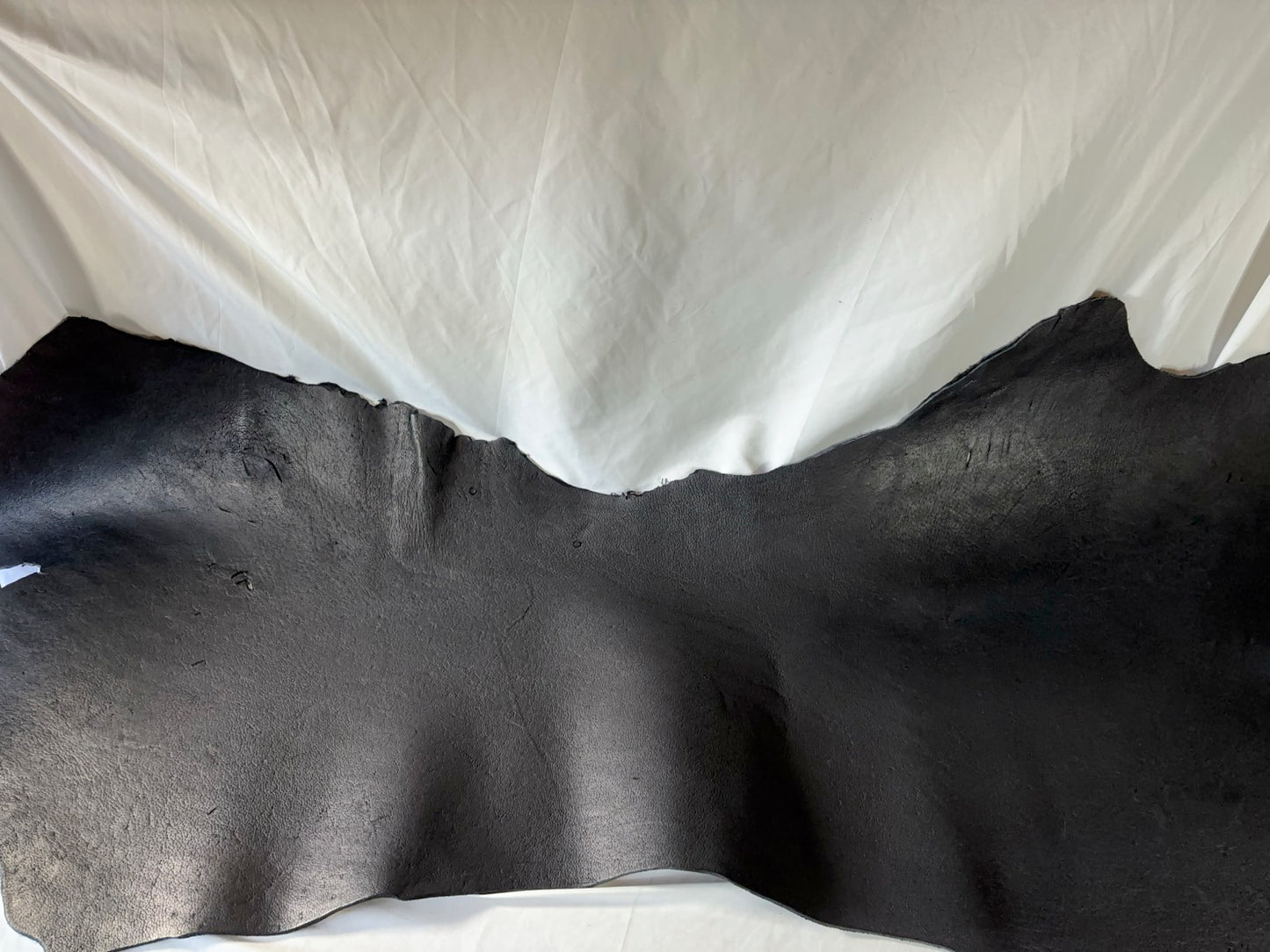 超ビックサイズ300㎏越え熊革(ヒグマ)ブラックカラー　3㎜～3.5㎜　115ds　Aランク　半裁