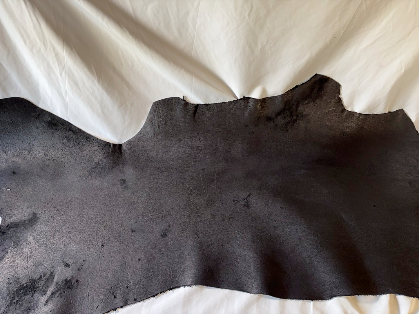 熊革(ヒグマ)ブラックカラー　1.6㎜　81ds　Aランク　半裁 　傷あり・擦れ 　小穴