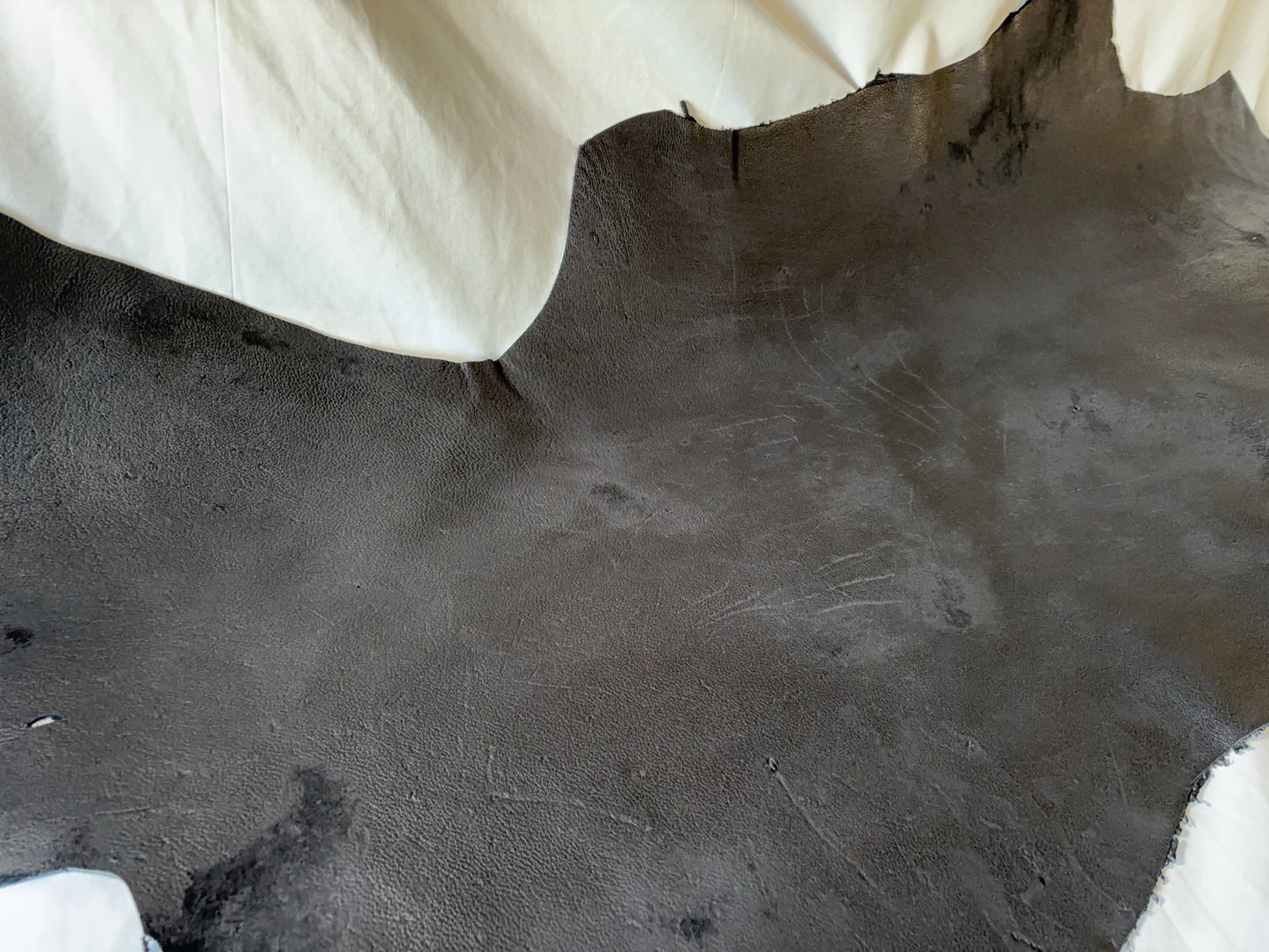 熊革(ヒグマ)ブラックカラー　1.6㎜　81ds　Aランク　半裁 　傷あり・擦れ 　小穴