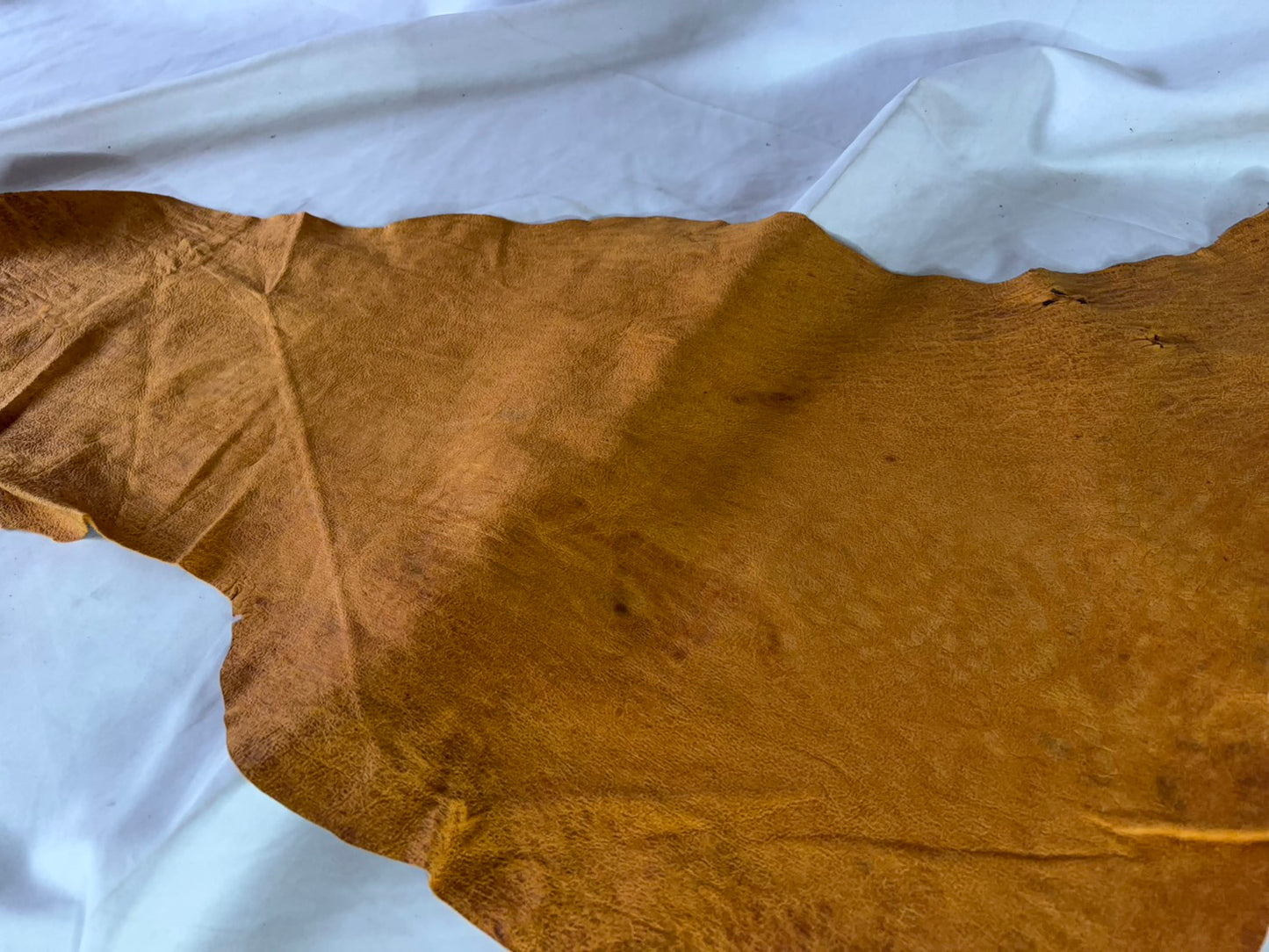 合計30枚限定シカ革セ ーム革ヌバック　10ds～20ds燻色カラーレザーAランク　0.6mm～0.8㎜