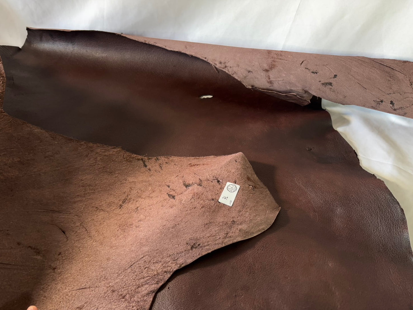 熊革(ツキノワグマ)ブラウンカラー　1.7㎜　76ds　Aランク　靴用