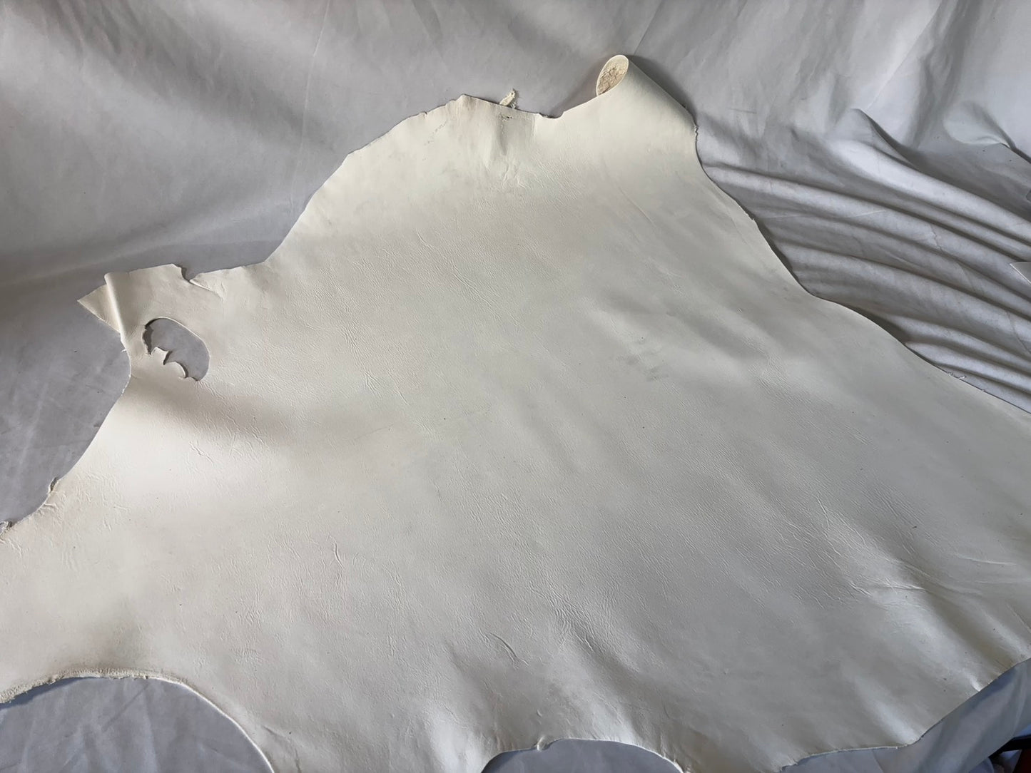 弓道用(試作品)シカ革セ ーム革ヌバック　ライトタイプ　　生成りカラーレザーAランク　57ds　１．５㎜