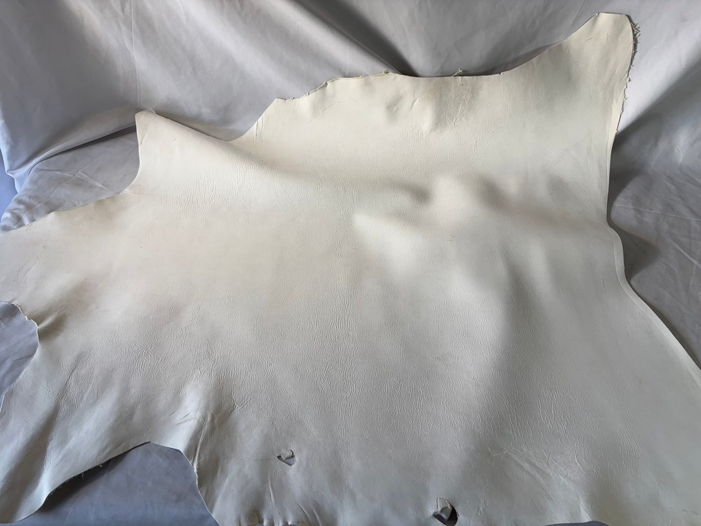 弓道用(試作品)シカ革セ ーム革ヌバック　ライトタイプ　　生成りカラーレザーAランク　68ds　１．５㎜