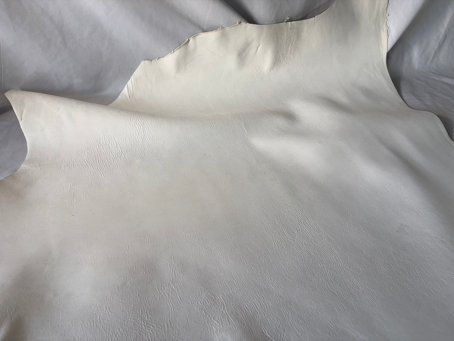 弓道用(試作品)シカ革セ ーム革ヌバック　ライトタイプ　　生成りカラーレザーAランク　68ds　１．５㎜