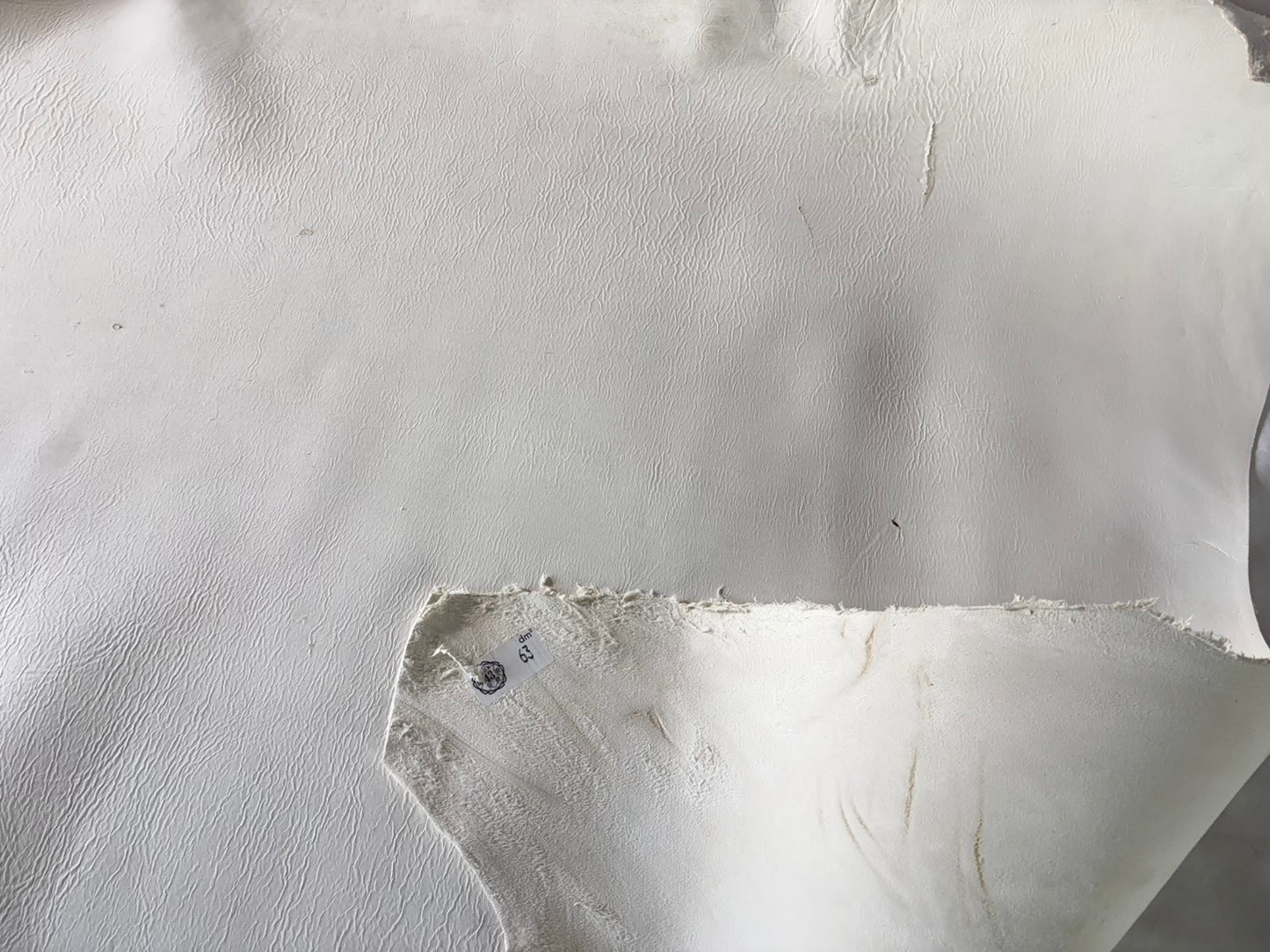 弓道用(試作品)シカ革セ ーム革ヌバック　ライトタイプ　　生成りカラーレザーAランク　63ds　１．５㎜