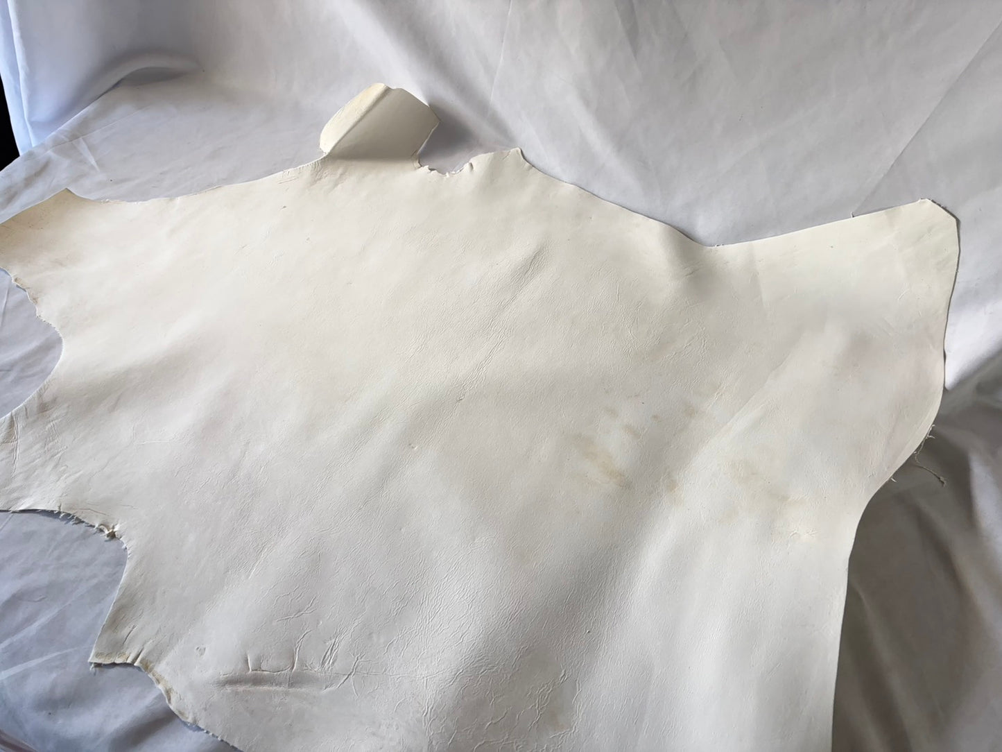 弓道用(試作品)シカ革セ ーム革ヌバック　ライトタイプ　　生成りカラーレザーAランク　48ds　1.3㎜