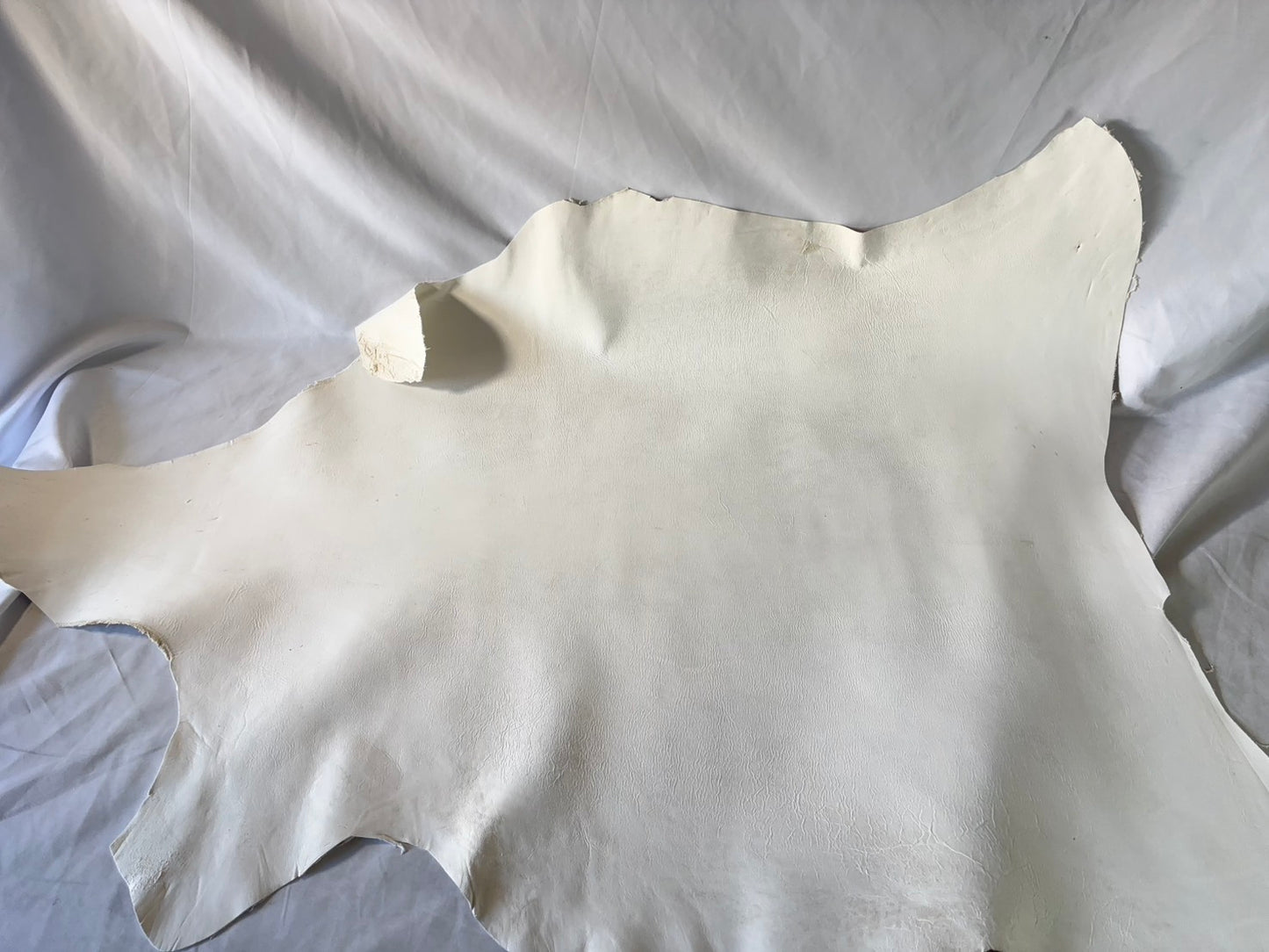 弓道用(試作品)シカ革セ ーム革ヌバック　ライトタイプ　　生成りカラーレザーAランク　66ds　１．５㎜