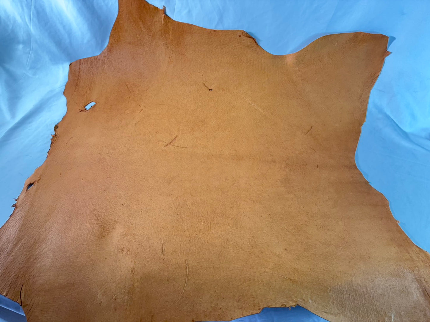 猪革(ヌメ)　クラシックキャメルカラー　Aランク63ds　１．５ｍｍ銀面あり　税込み価格　