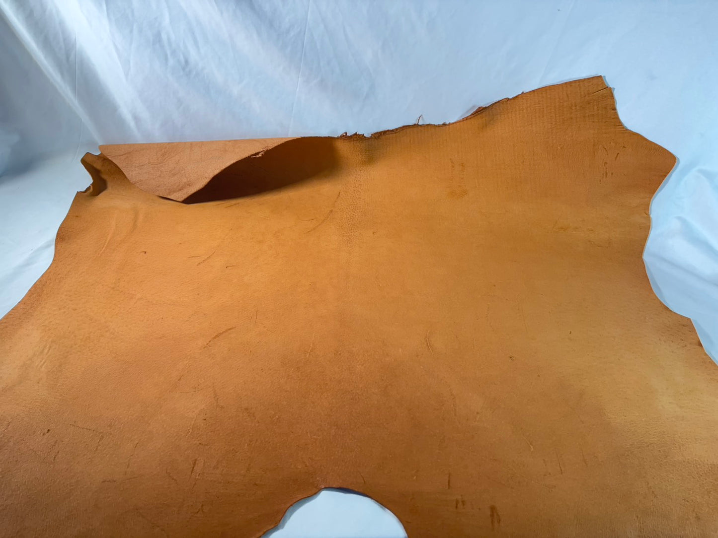 猪革(ヌメ)　クラシックキャメルカラー　Aランク74ds　１．５ｍｍ銀面あり　税込み価格　 傷あり