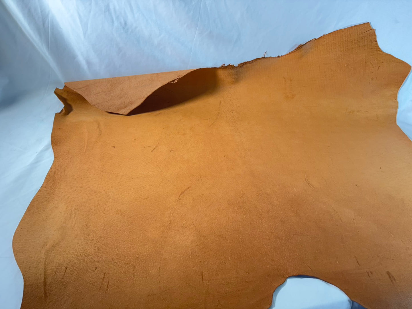 猪革(ヌメ)　クラシックキャメルカラー　Aランク74ds　１．５ｍｍ銀面あり　税込み価格　 傷あり