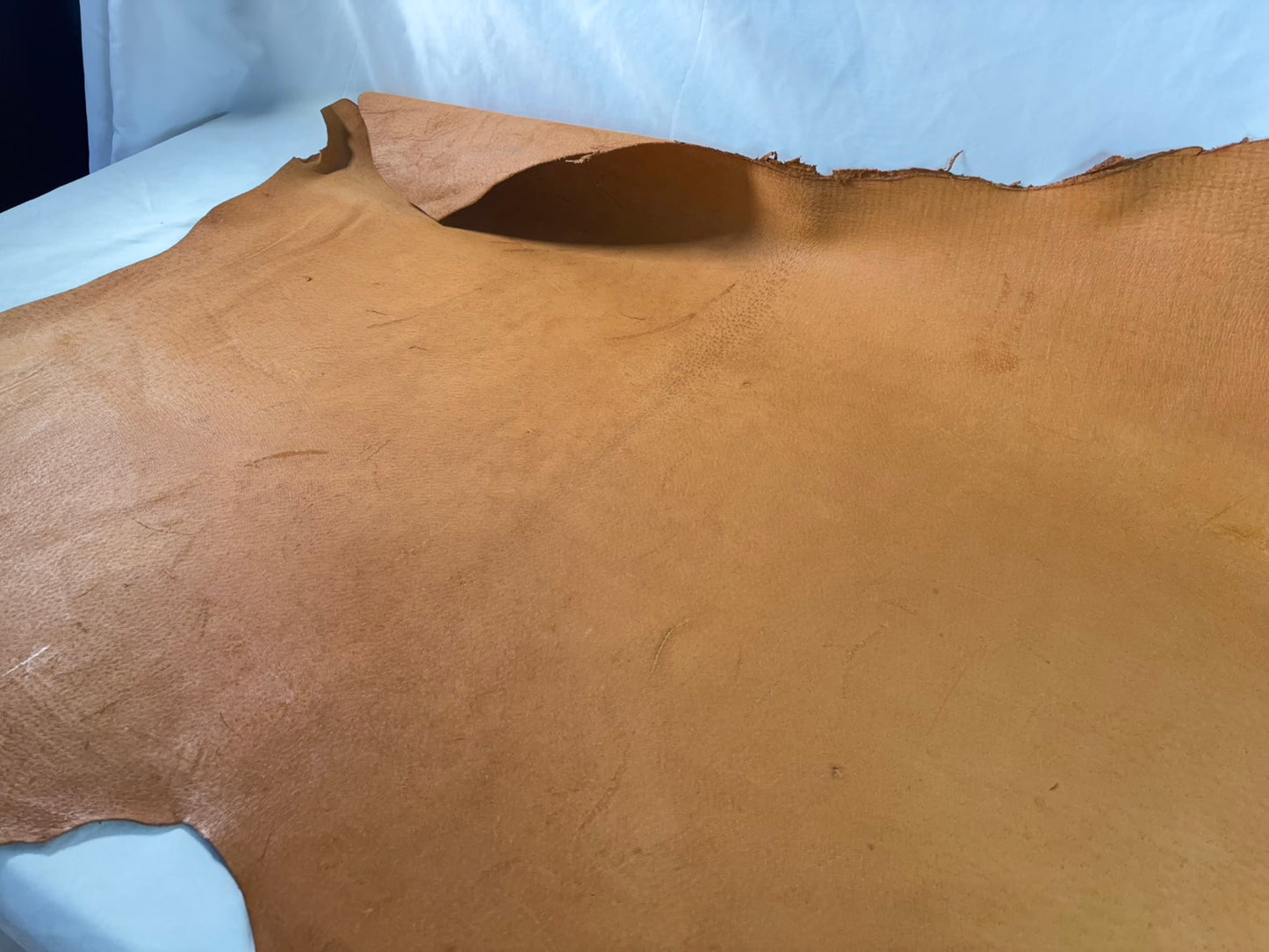 猪革(ヌメ)　クラシックキャメルカラー　Aランク74ds　１．５ｍｍ銀面あり　税込み価格　 傷あり