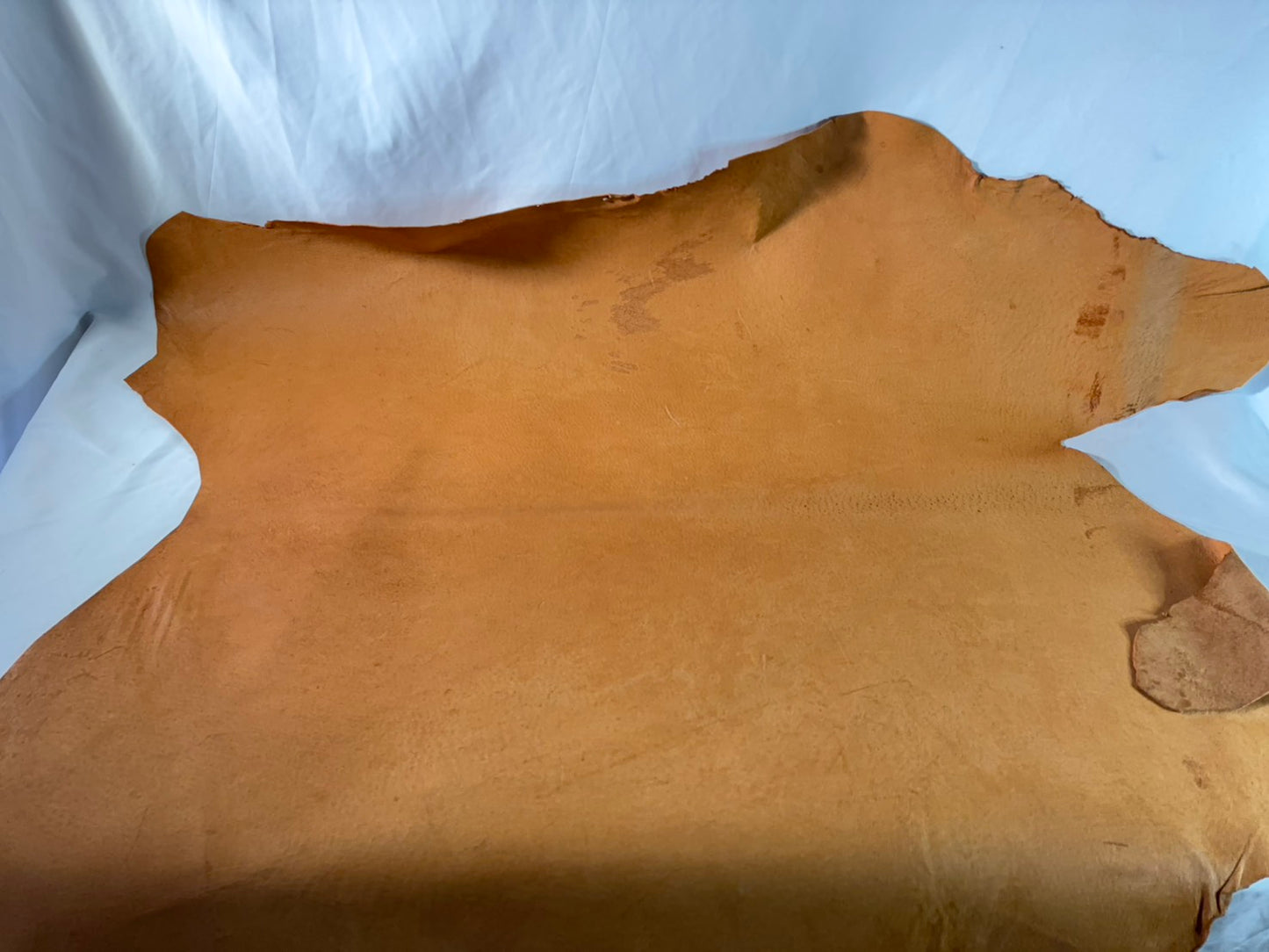 猪革(ヌメ)　クラシックキャメルカラー　Aランク89ds　１．５ｍｍ銀面あり　税込み価格　柔らかめ