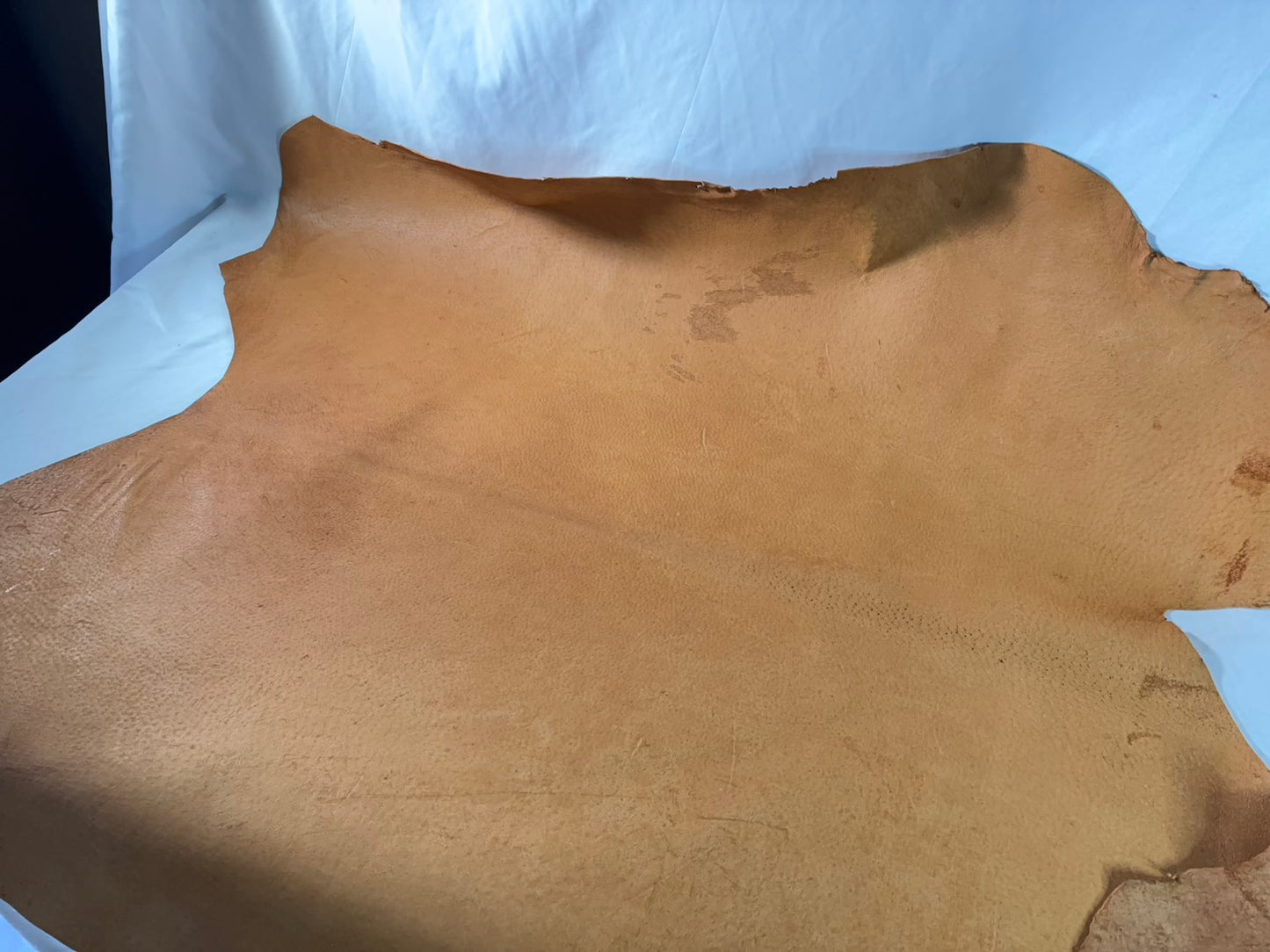 猪革(ヌメ)　クラシックキャメルカラー　Aランク89ds　１．５ｍｍ銀面あり　税込み価格　柔らかめ