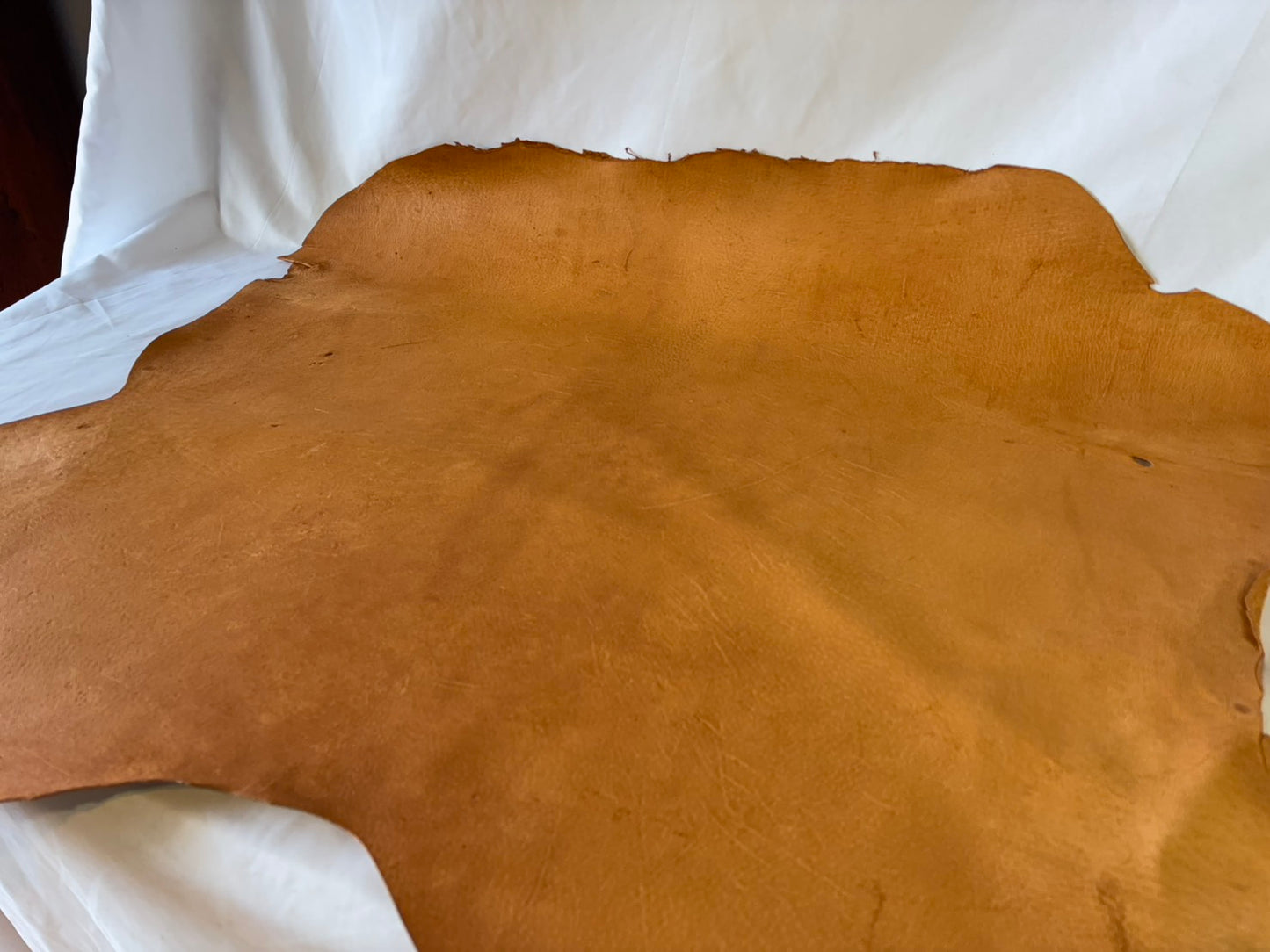 猪革(ヌメ)　クラシックキャメルカラー　Aランク60ds　1.5ｍｍ銀面あり　税込み価格　歴戦猛者　傷多め