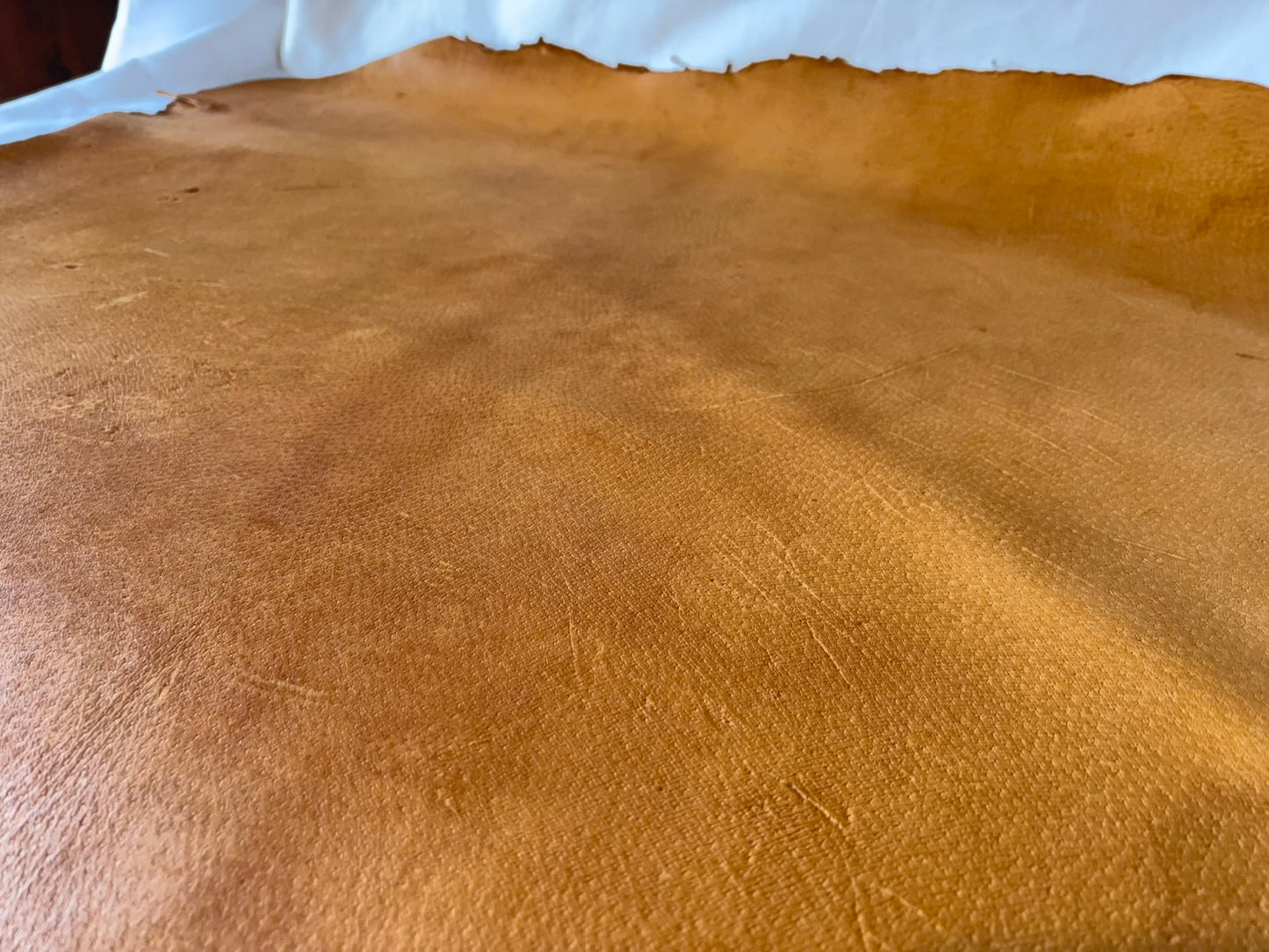 猪革(ヌメ)　クラシックキャメルカラー　Aランク60ds　1.5ｍｍ銀面あり　税込み価格　歴戦猛者　傷多め