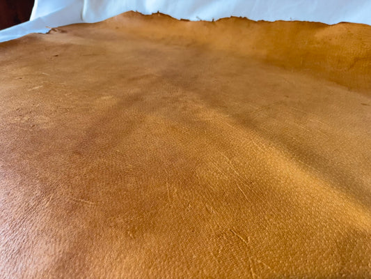 猪革(ヌメ)　クラシックキャメルカラー　Aランク60ds　1.5ｍｍ銀面あり　税込み価格　歴戦猛者　傷多め