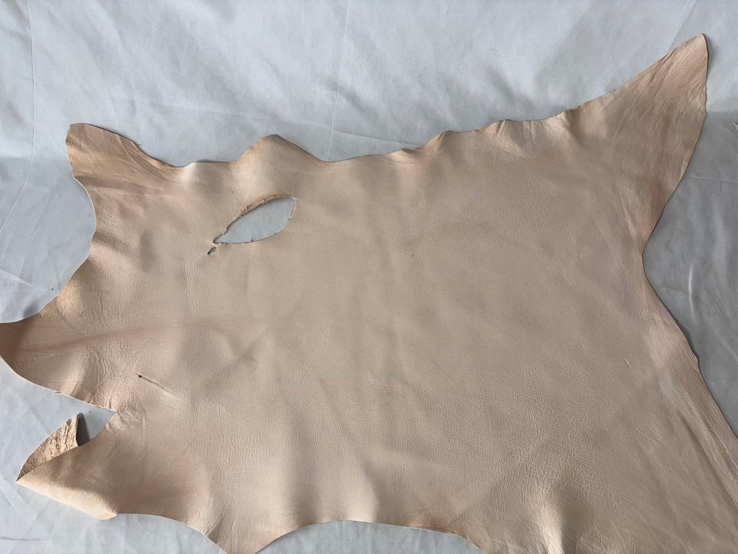 量産安価モデル　シカ革(ヌメ)ソフトタイプ　生成りカラー　平均35ds　0.8㎜～1.2㎜ｍｍ　銀面あり　