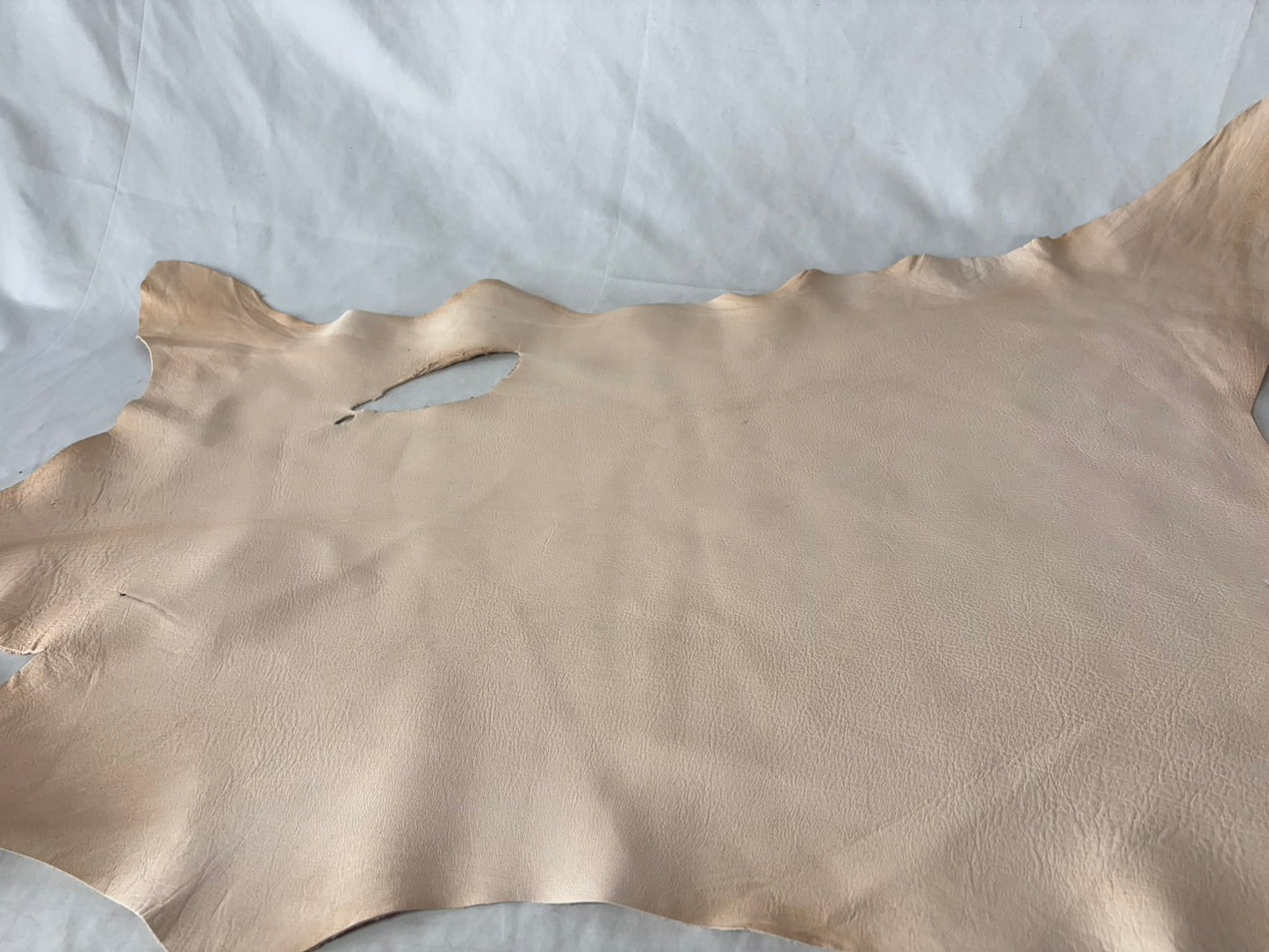 量産安価モデル　シカ革(ヌメ)ソフトタイプ　生成りカラー　平均35ds　0.8㎜～1.2㎜ｍｍ　銀面あり　